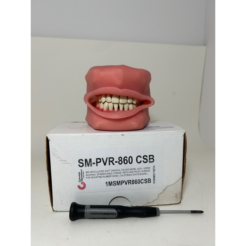 Columbia Dentoform SM-PVR-860 CSB Articulated Dental Typodont Model 32 Teeth